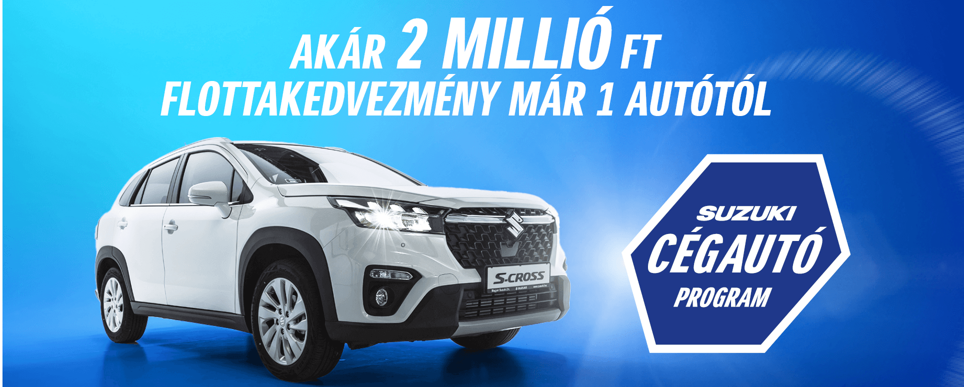 Suzuki cégautó program