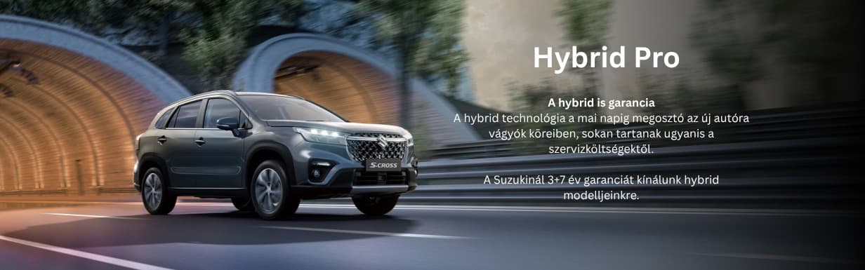 Suzuki_Hybrid Pro_1759881584900