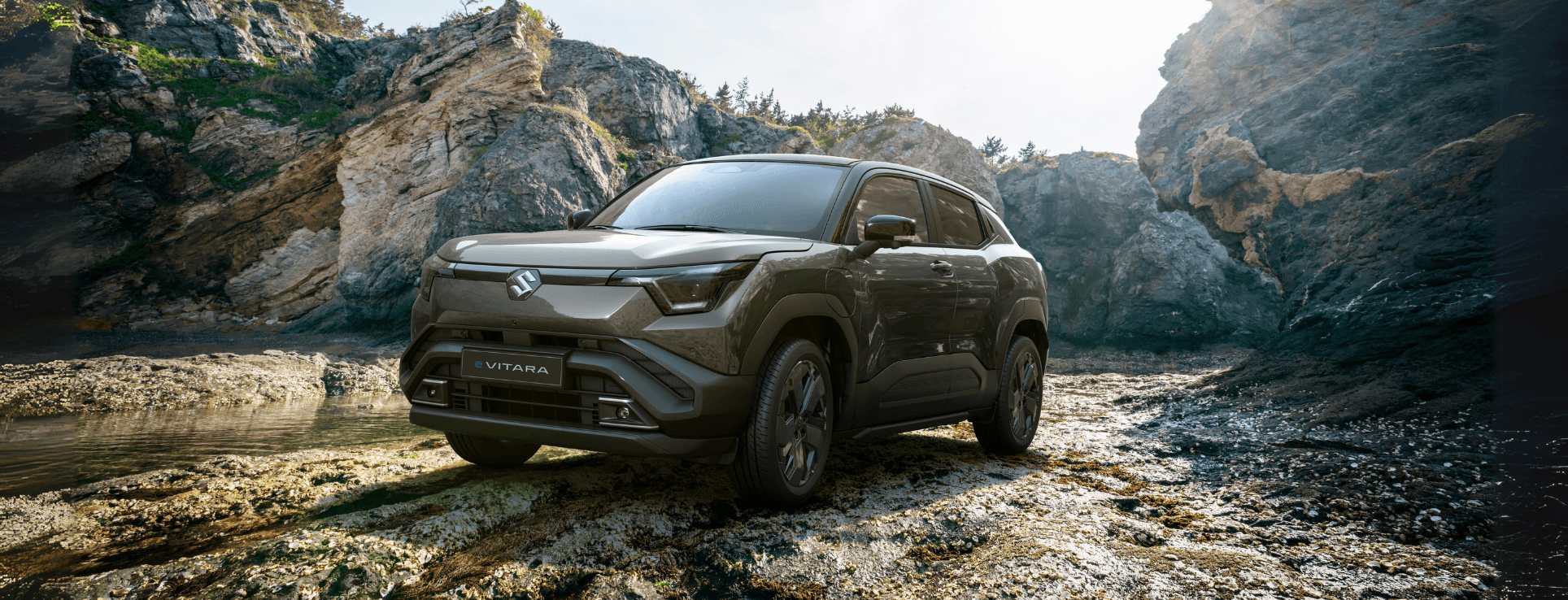 Suzuki_suzuki_evitara_1733838014739