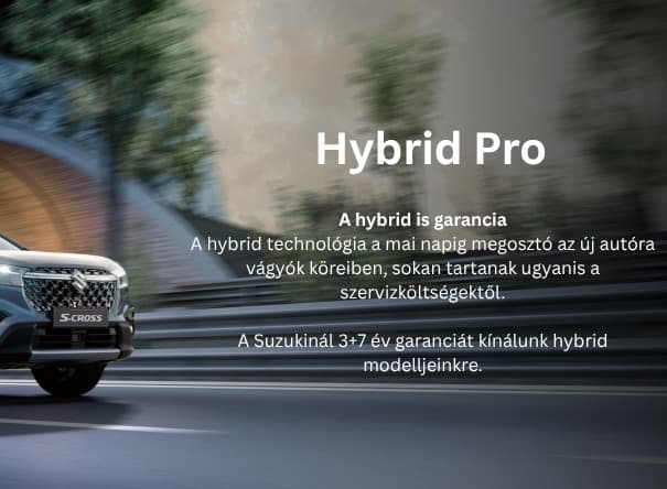 Suzuki_Hybrid Pro_1759881584900