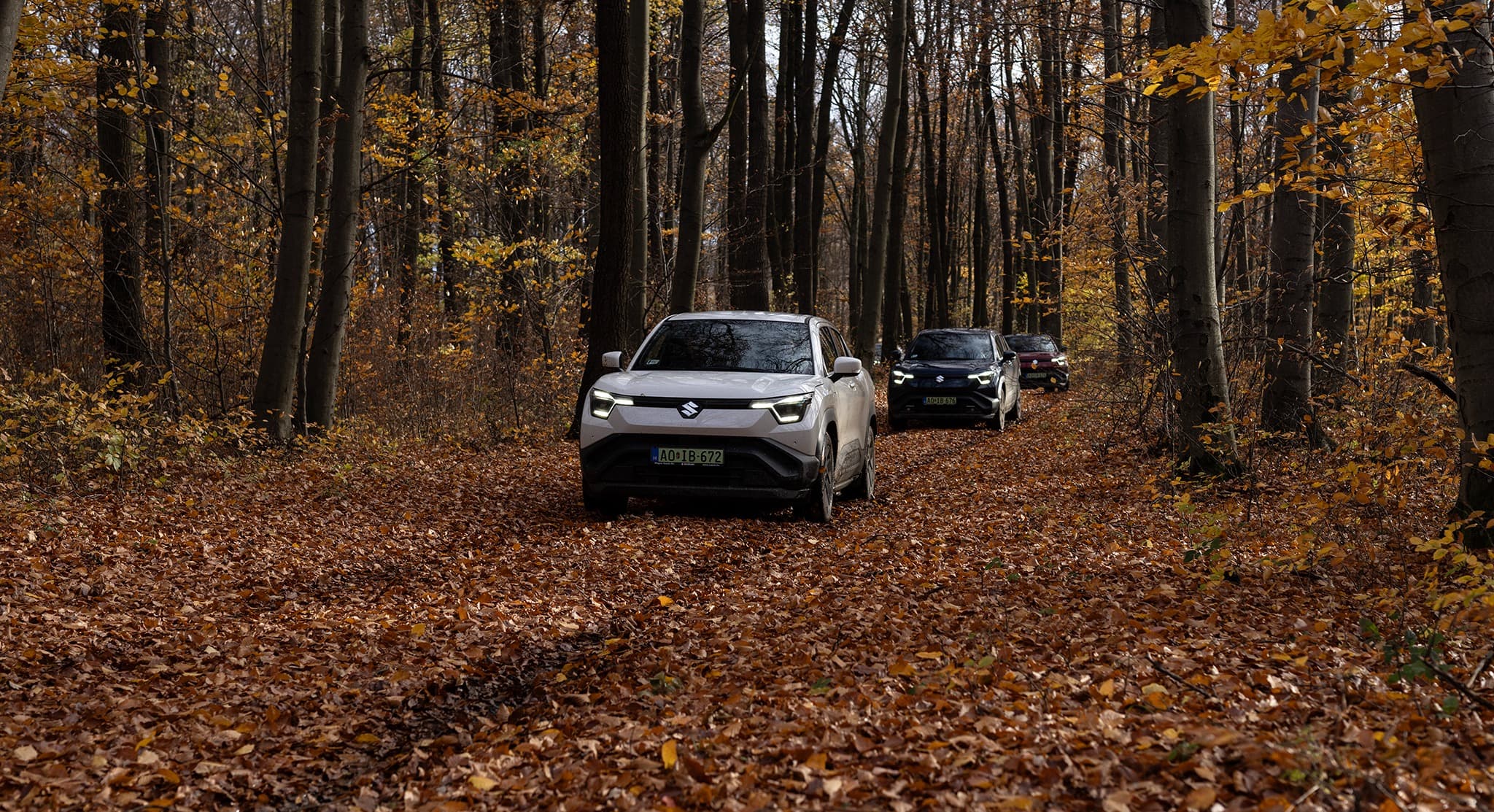 Suzuki eVITARA csúszós erdei ösvényen