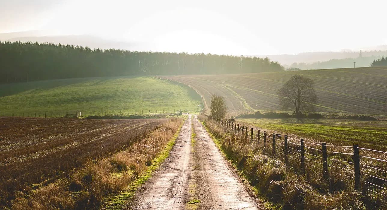 Suzuki_scross_lock_mode_1760012395953